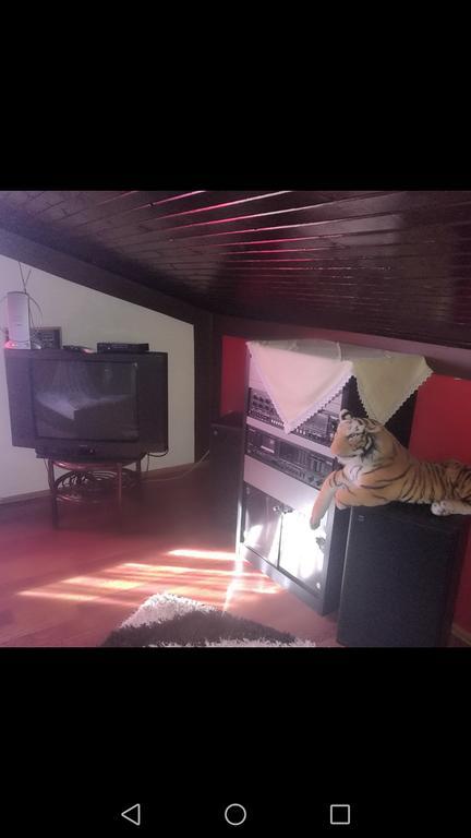 Odvojak Apartments Crikvenica Kültér fotó